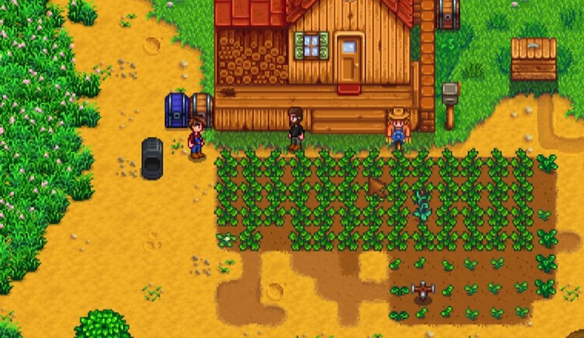 Stardew Valley: How to Play Multiplayer on Switch