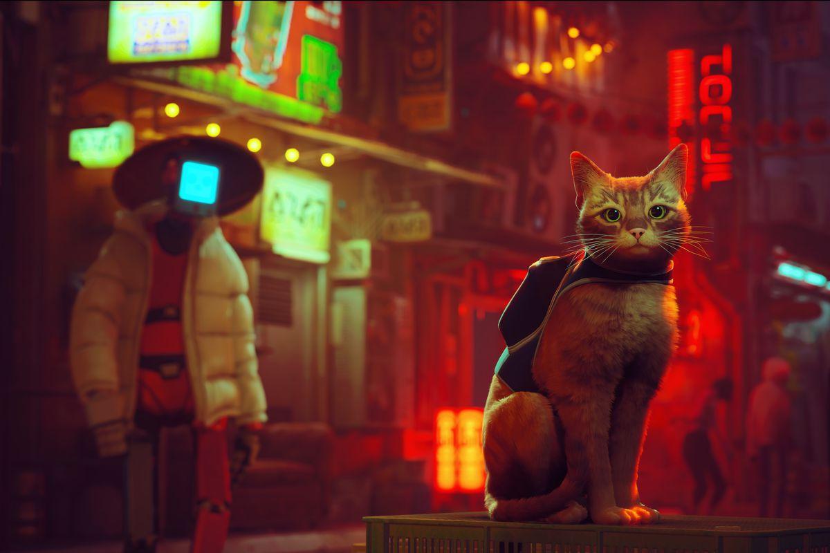 Stray video game helps raise money for real shelter cats - Upworthy
