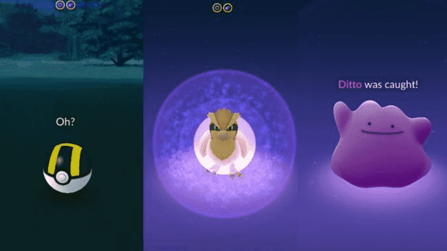 Pokemon Go Ditto August 2023, Odds of Catching Ditto and Shiny Ditto