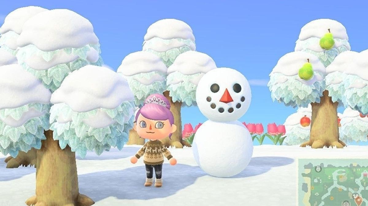 Snowboy Animal Crossing