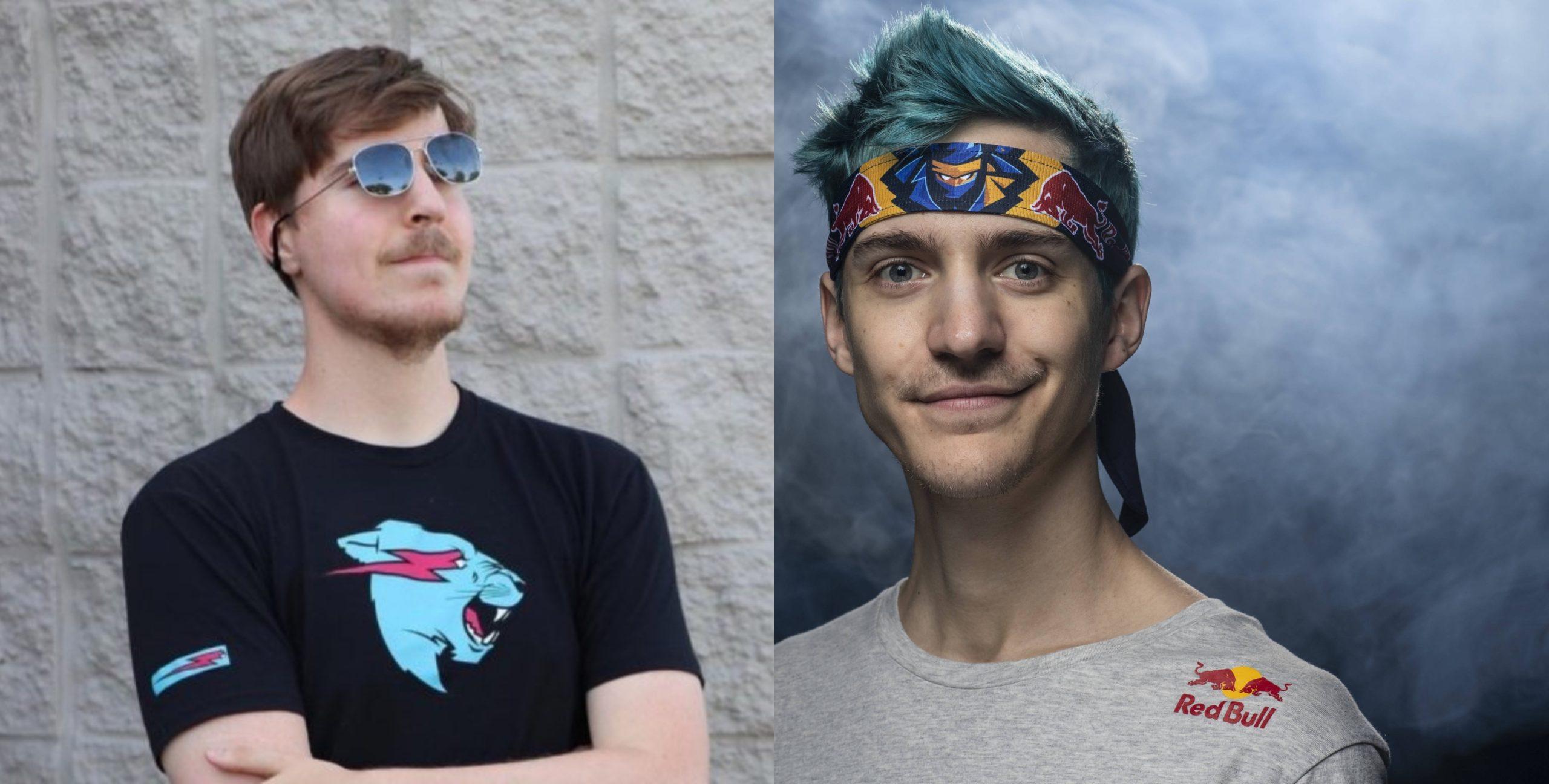 Ninja MrBeast