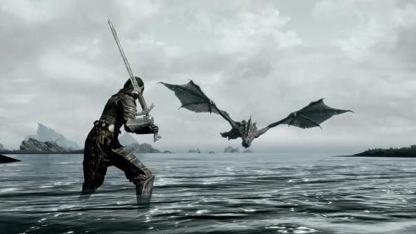 Skyrim fight