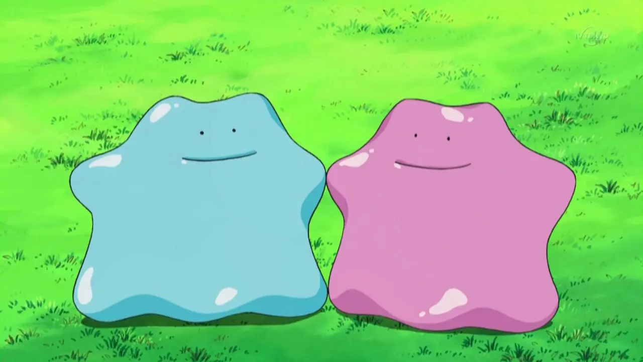Ditto in the Pokemon anime