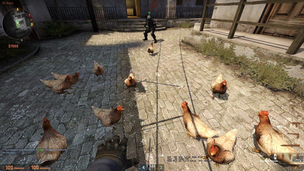 Counter-strike chicken