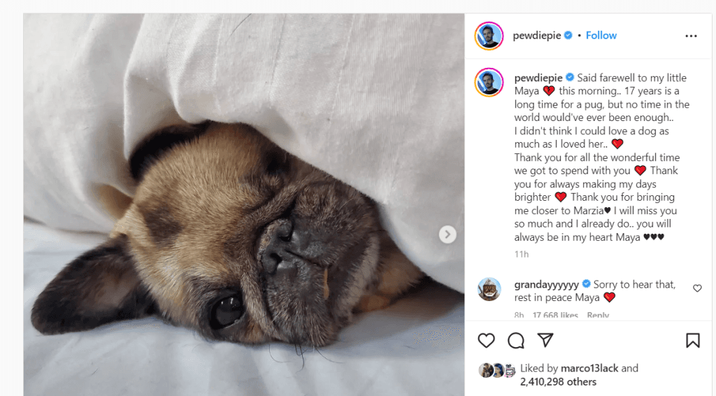 PewDiePie's dog Maya passed away at 17 