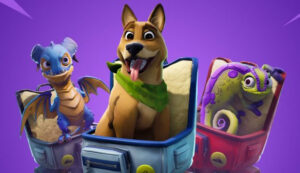 Fortnite pro Animal claims building bug cost him a spot in World Cup