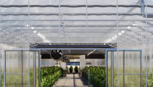 Glass House Farms’ virtual tour shows off today’s best in cannabis growth