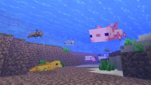 Everything there is to know about axolotls in Minecraft