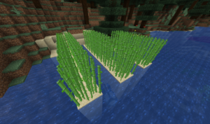 Minecraft sugar cane makes everything from paper to pastries