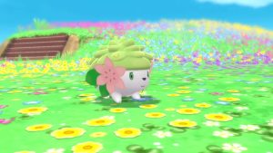 Shaymin now available in Pokemon BDSP with mystery gift item