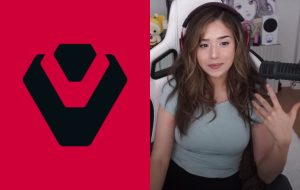 Valorant fans confused by Sentinels Pokimane roster update