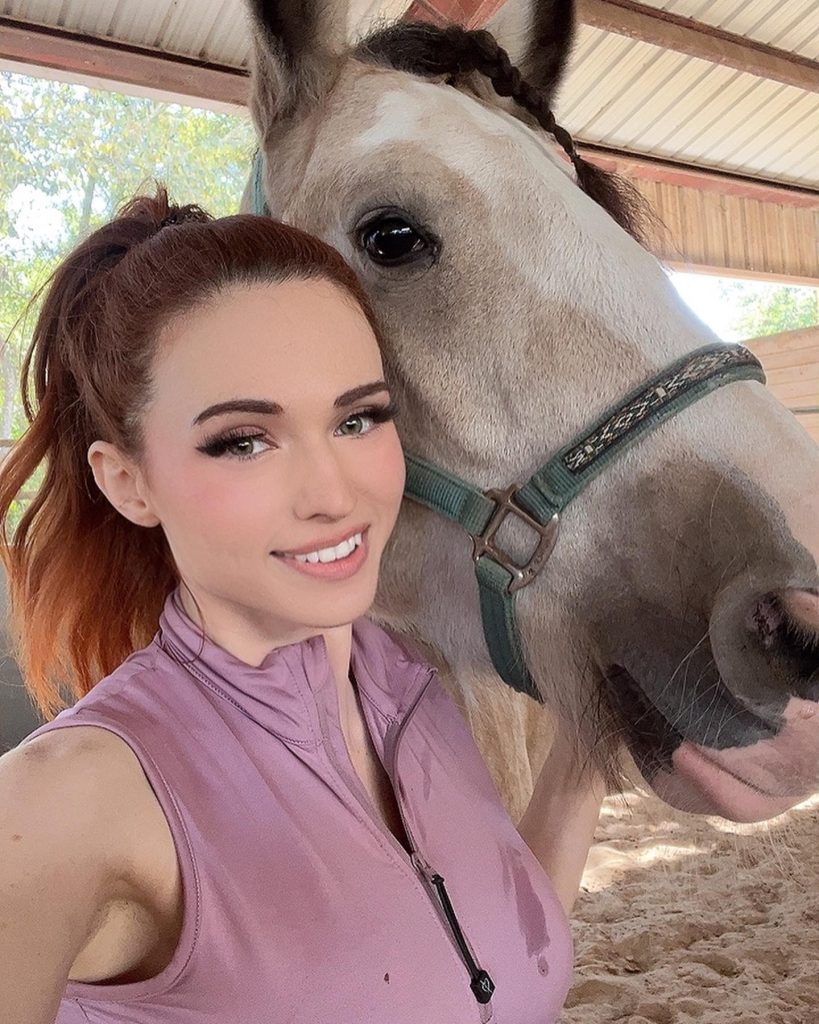 Amouranth horse