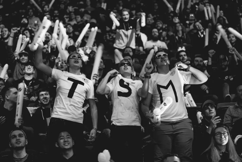 A photo of TSM fans.