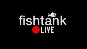 What is Fishtank? A 24/7 stream contest gone rogue