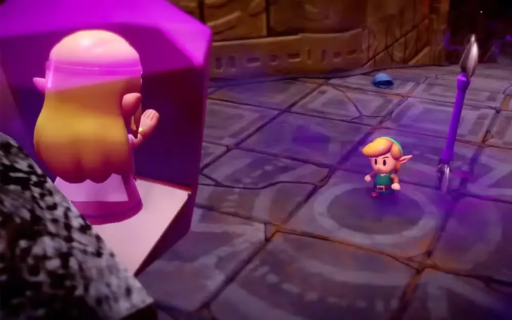 Rescue link interaction after the Echo Zelda fight