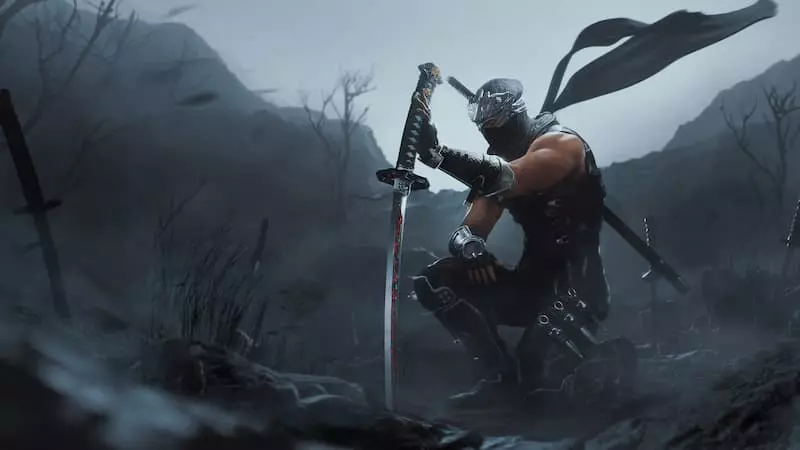 Ninja Gaiden black key art