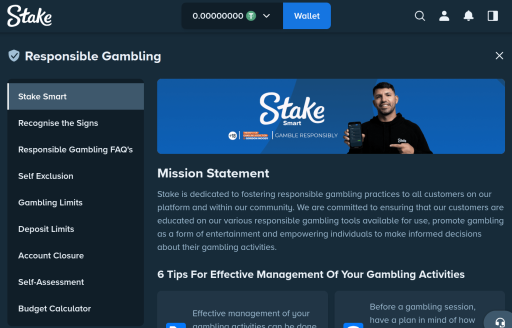 stake.com review - stake smart - responsible gambling