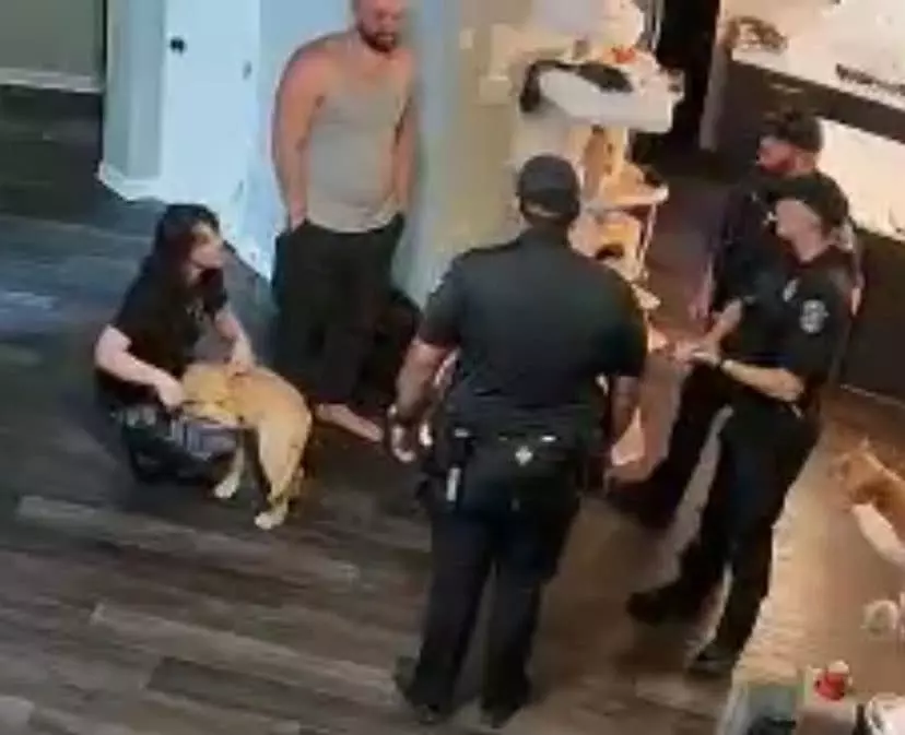 Tectone swatted