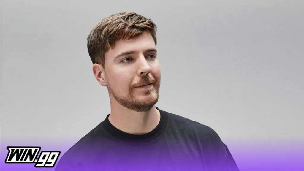 mrbeast net worth