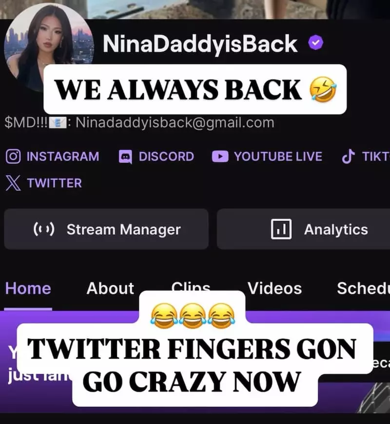 Nin Lin Twitch unban