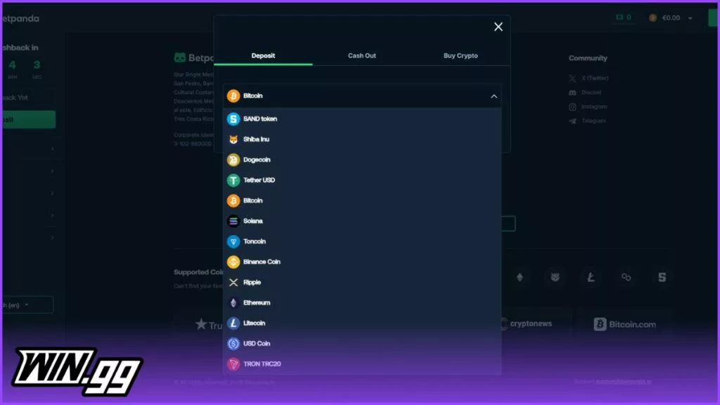 Betpanda payment options