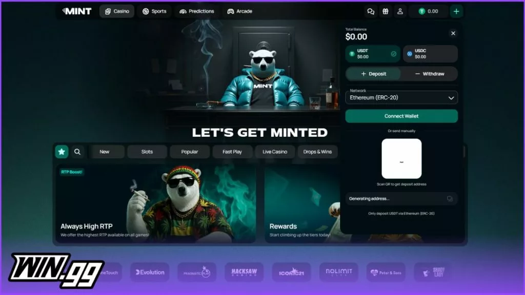 a screenshot of Mint.io's deposit methods