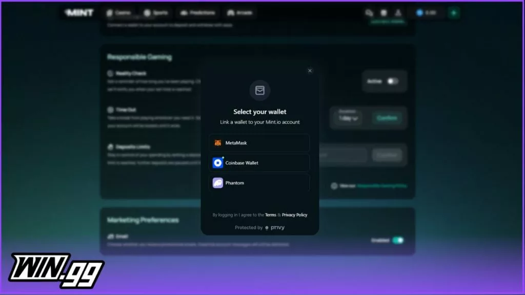 a screenshot of Mint.io's wallet