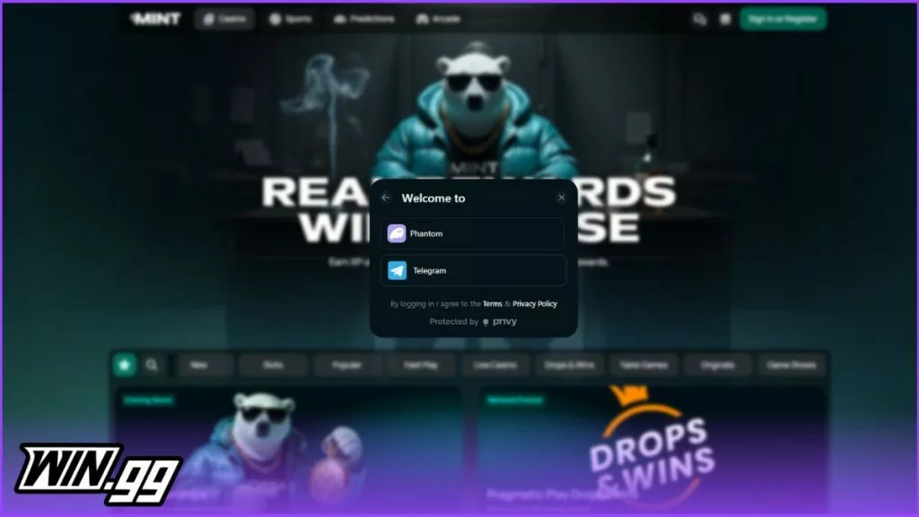 a screenshot of the mint.io login page