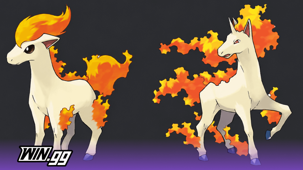 ponyta rapidash pokemon