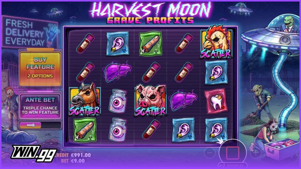 Harvest Moon grave profits slot screenshot