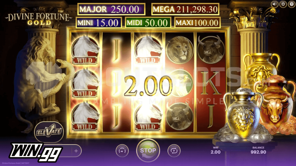 divine fortune gold slot